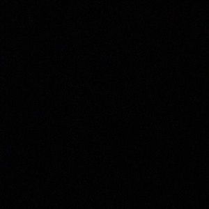 Meet your Posher, Nelly